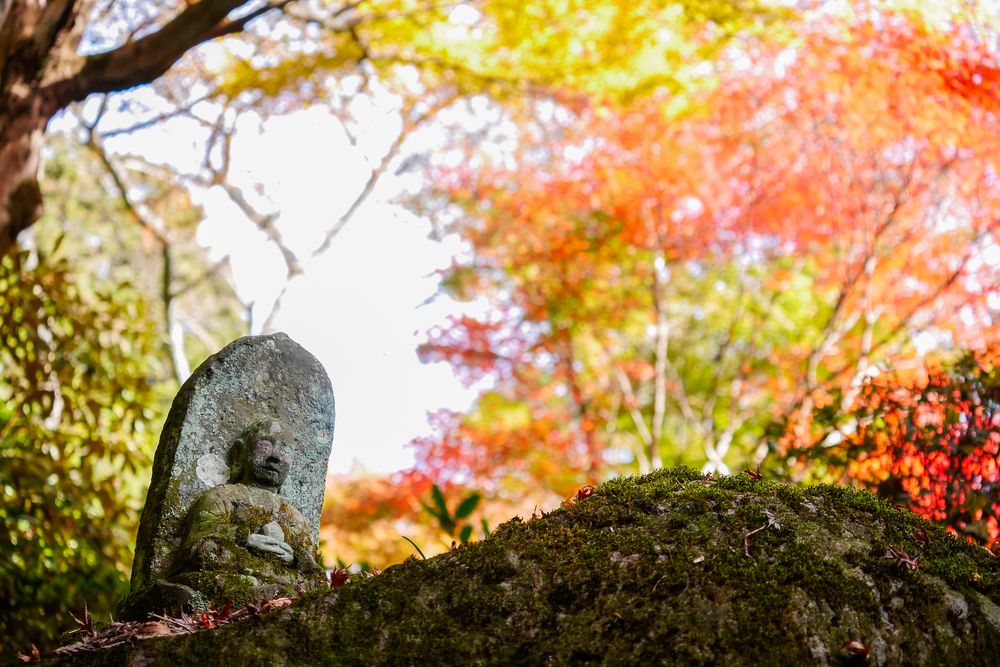 長安寺の画像 - 3枚目