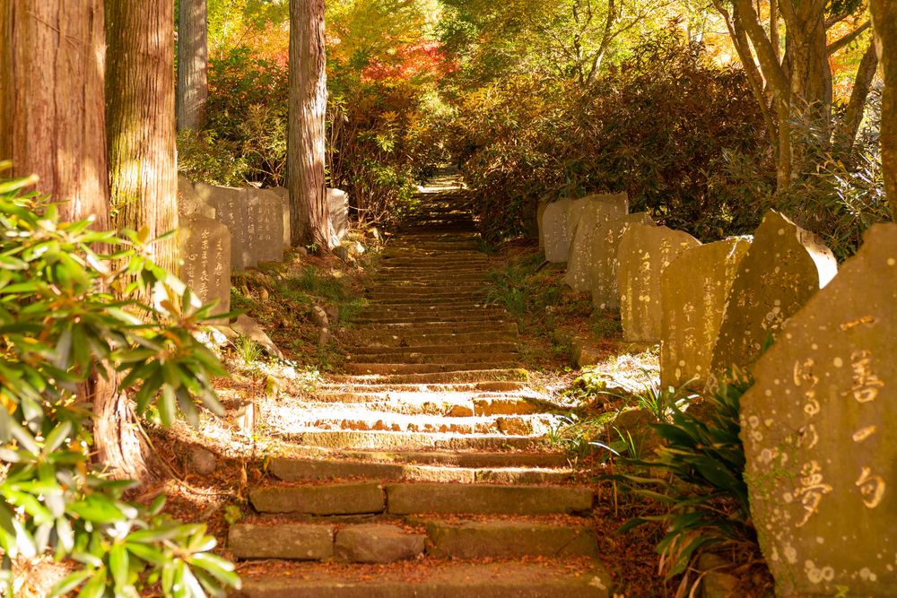 長安寺の画像 - 4枚目