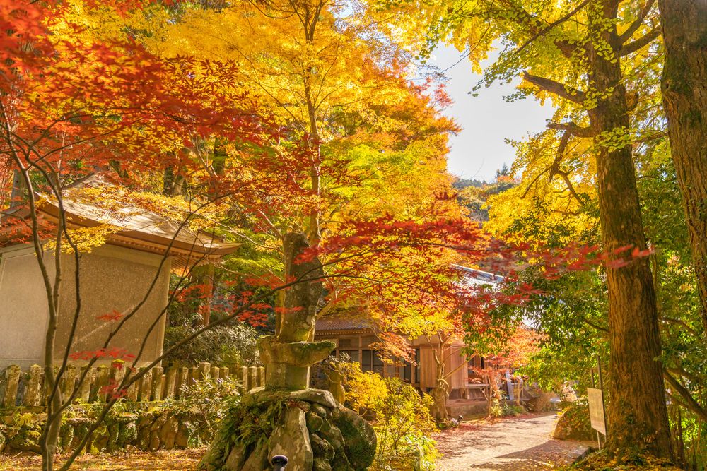 長安寺の画像 - 5枚目