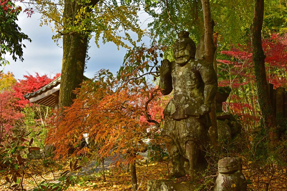 長安寺の画像 - 6枚目