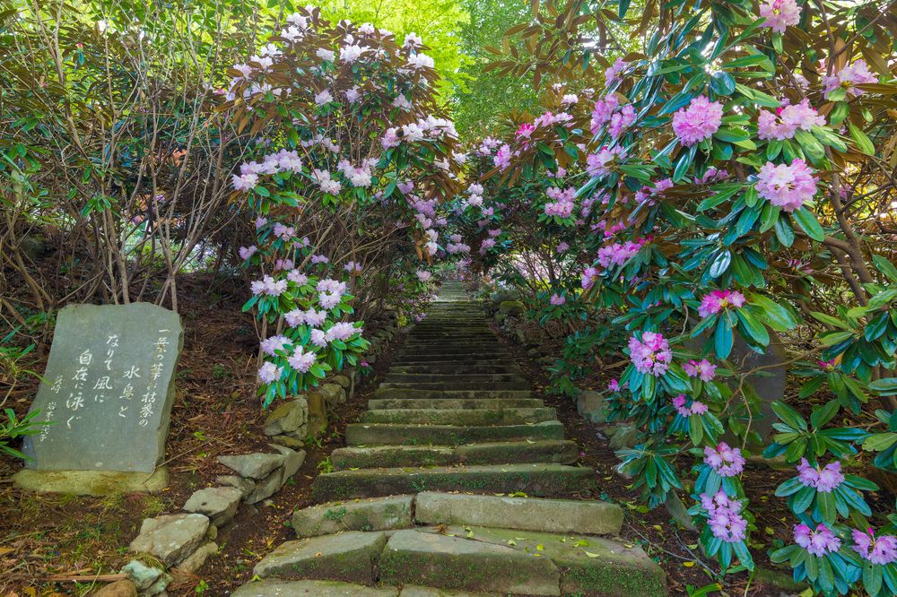 長安寺の画像 - 7枚目