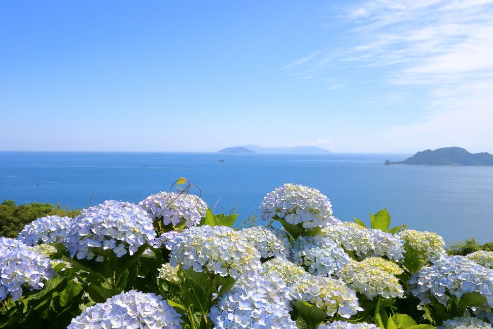 関崎みらい海星館の画像 - 5枚目