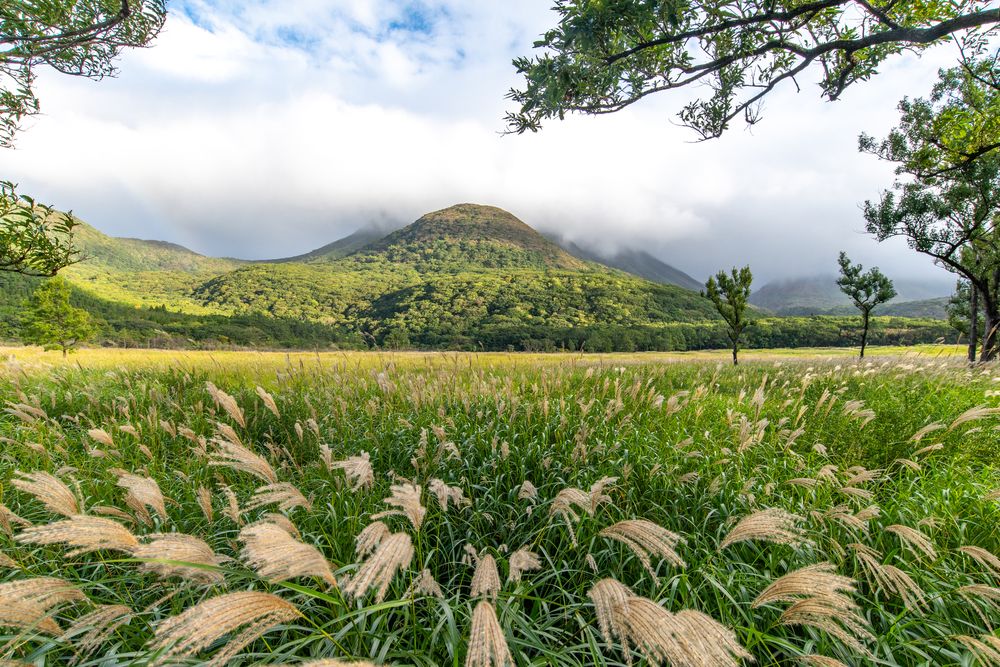 長者原ビジターセンター】の周辺スポット・アクセス・口コミ - Prism Japan