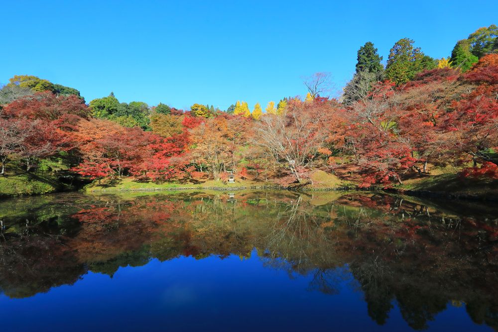用作公園の画像 - 3枚目