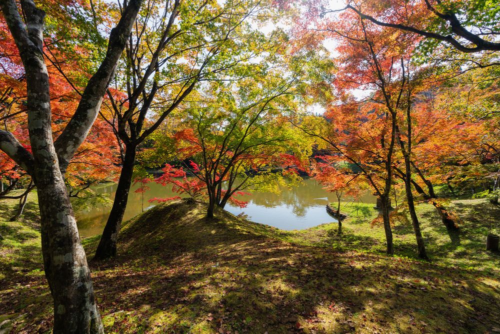 用作公園の画像 - 5枚目