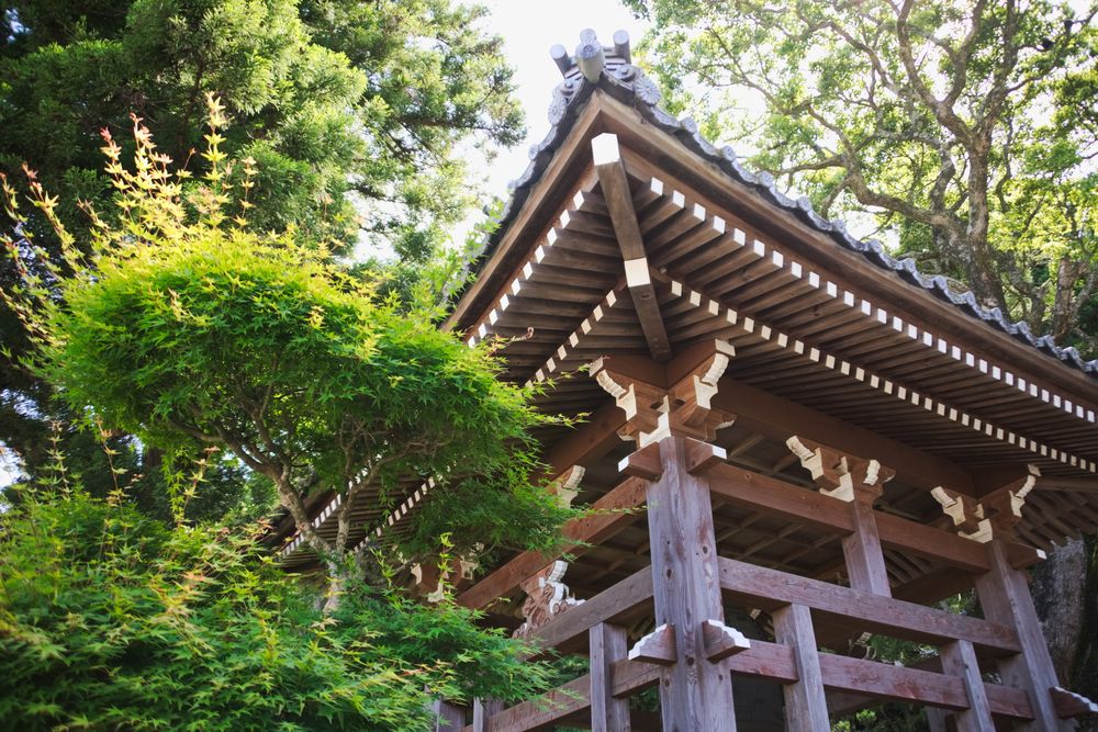真木大堂（伝乗寺）の画像 - 4枚目
