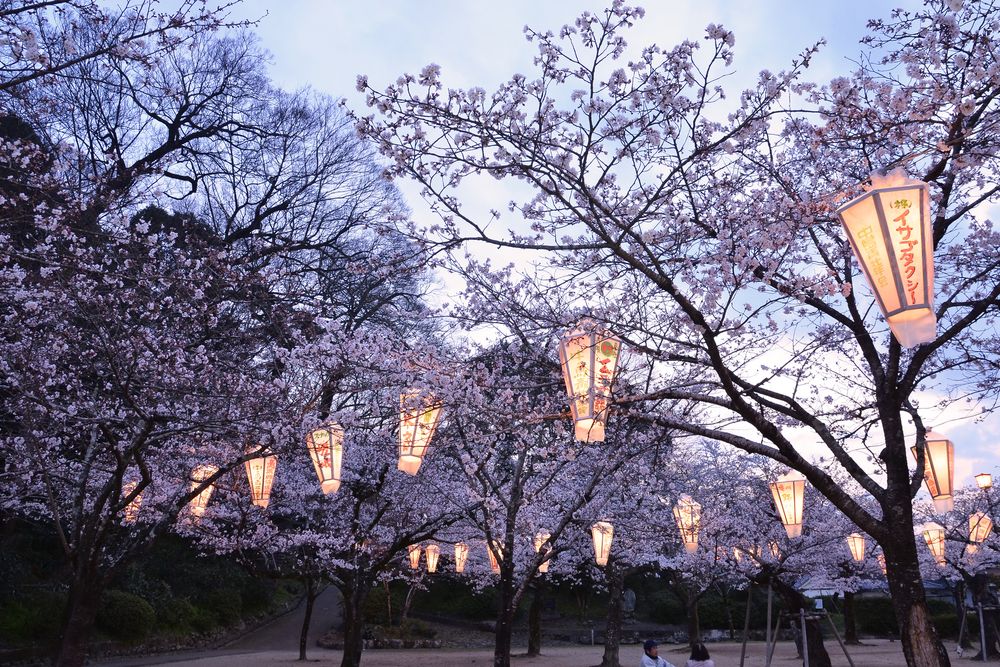 亀山公園の画像 - 2枚目