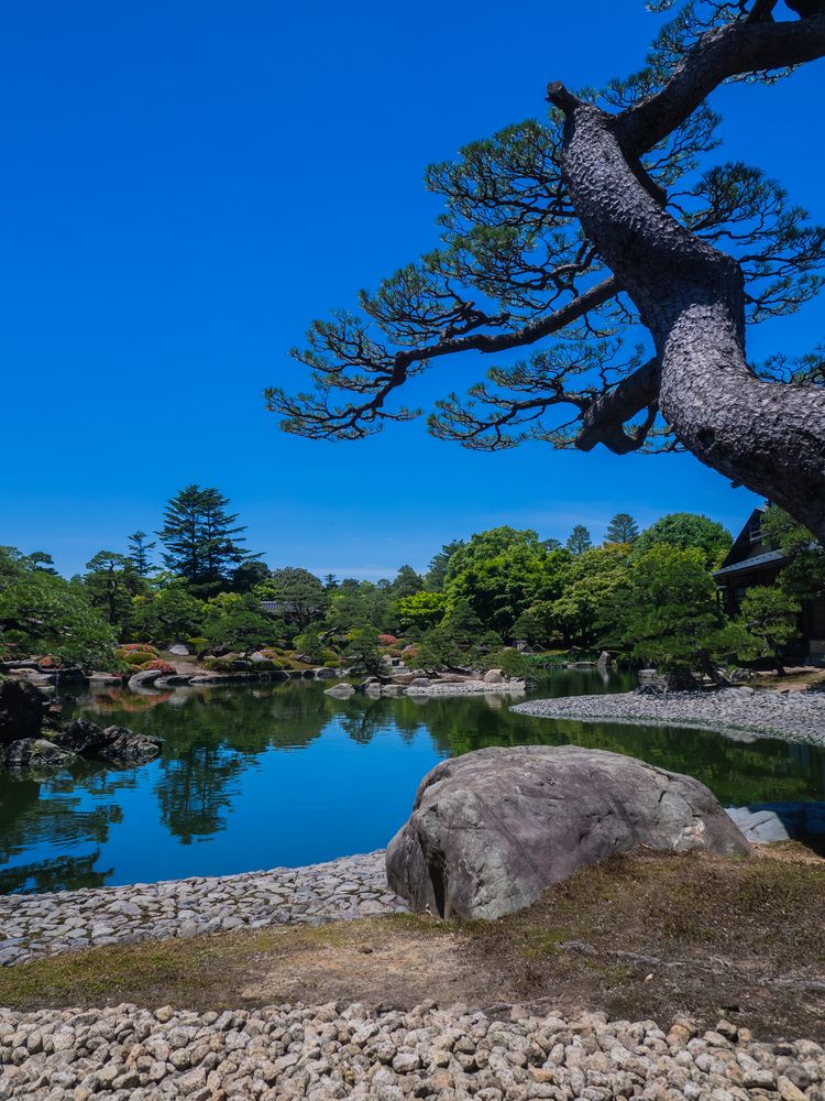 由志園の画像 - 2枚目