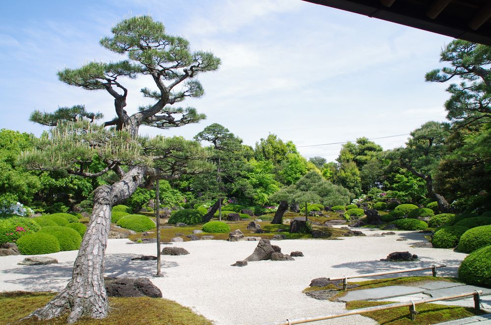 由志園の画像 - 7枚目