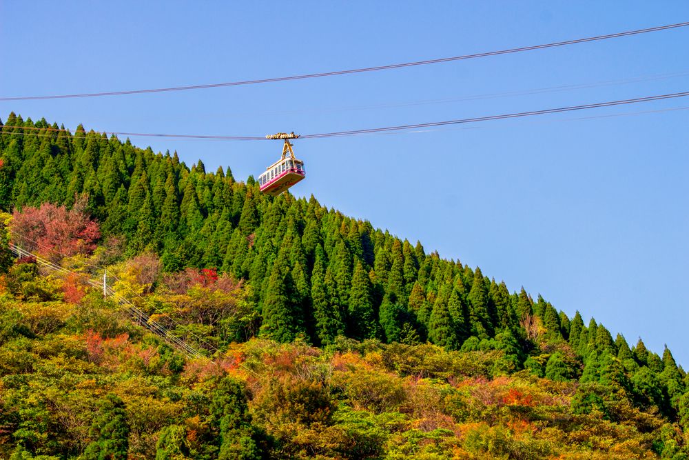 鶴見岳 東展望台の画像 - 4枚目