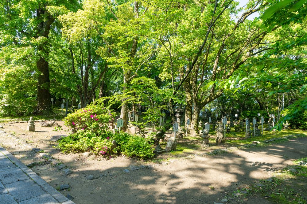 城山公園の画像 - 4枚目