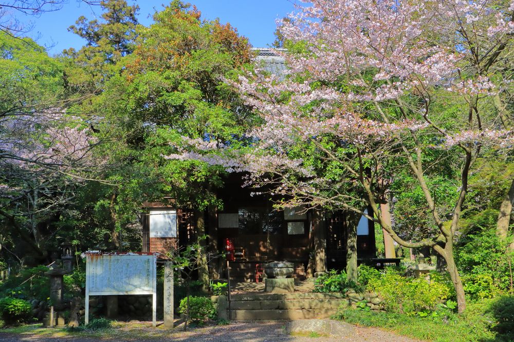 豊後国分寺跡の画像 - 2枚目