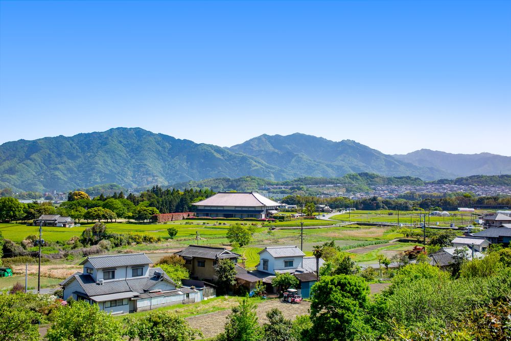 豊後国分寺跡の画像 - 3枚目