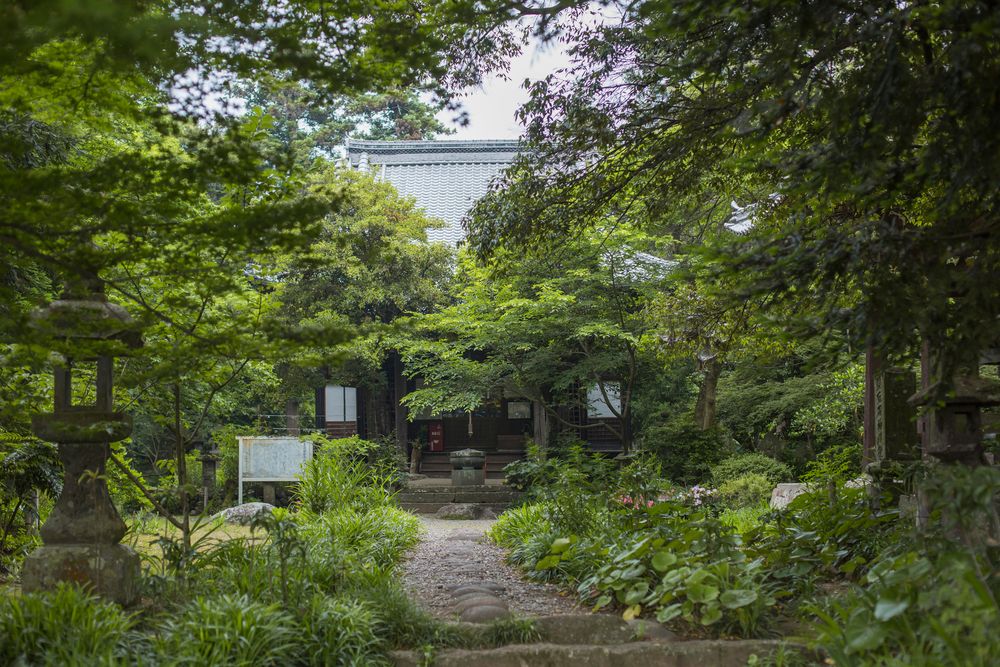 豊後国分寺跡の画像 - 4枚目