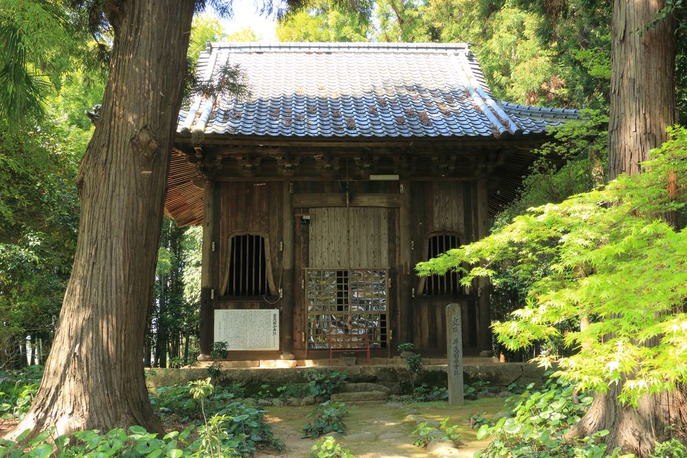 豊後国分寺跡