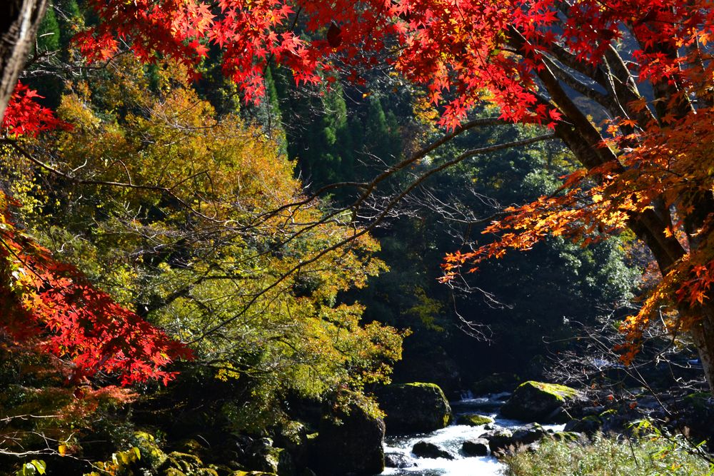 白水の滝の画像 - 2枚目