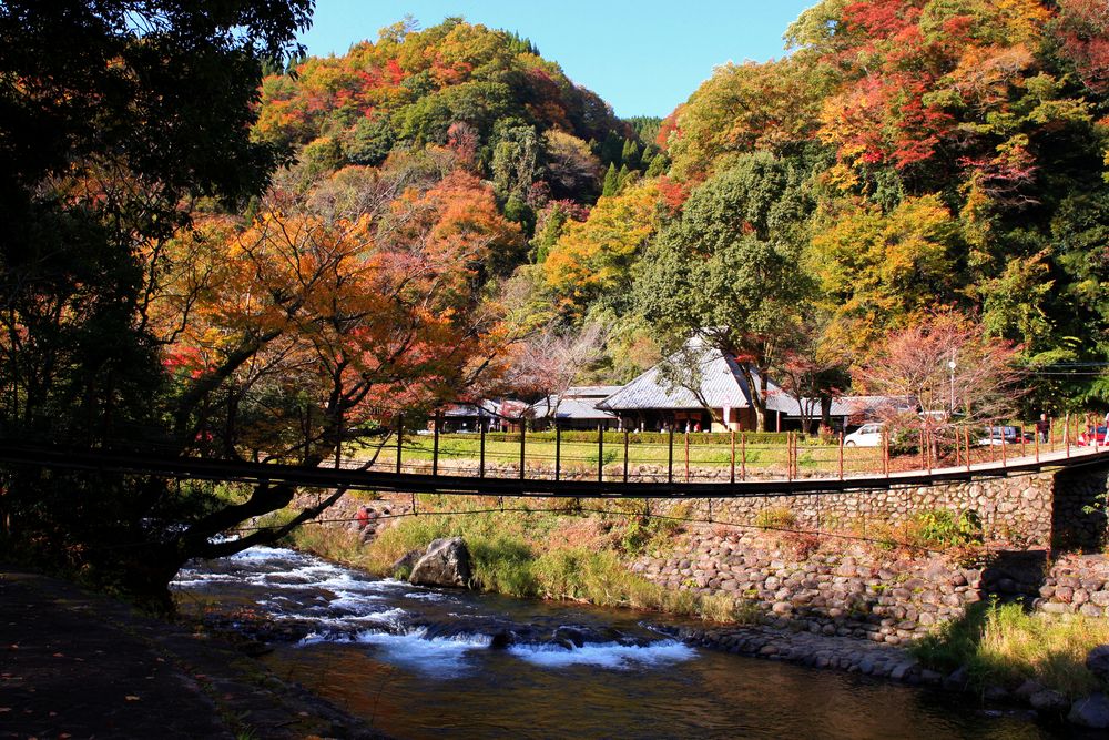 白水の滝の画像 - 3枚目