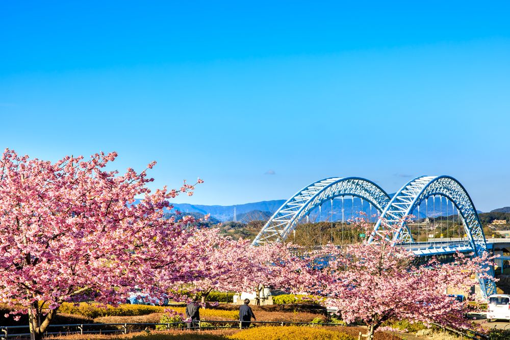 西海橋公園の画像 - 4枚目