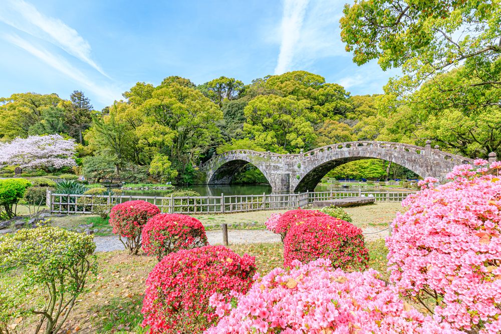 諫早公園の画像 - 4枚目