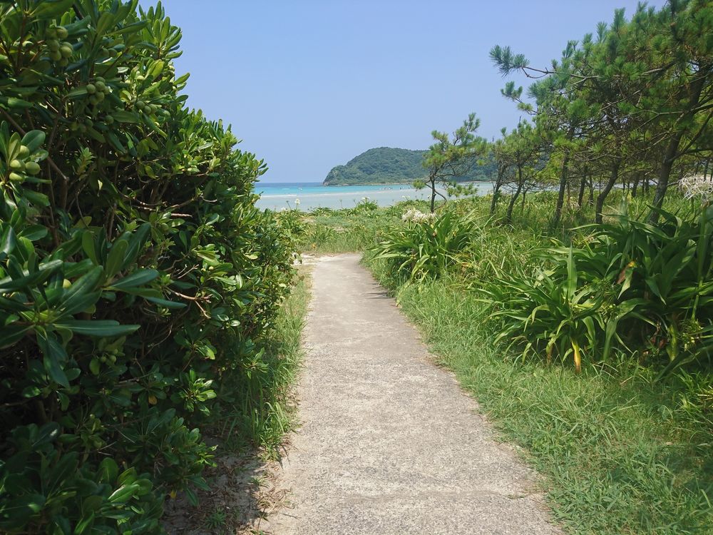 蛤浜海水浴場の画像 - 2枚目