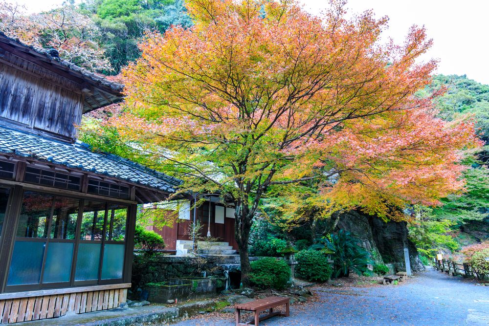大雄寺の画像 - 2枚目