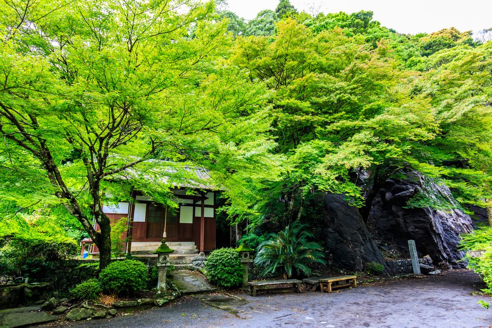 大雄寺の画像 - 3枚目