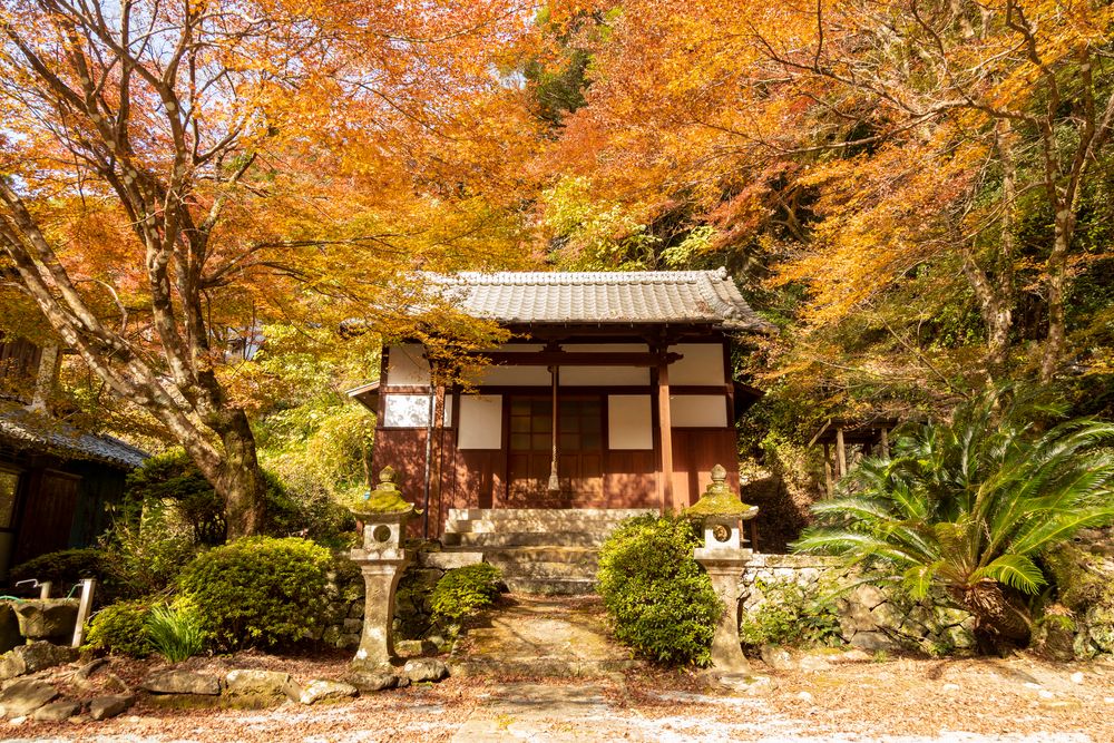 大雄寺の画像 - 4枚目