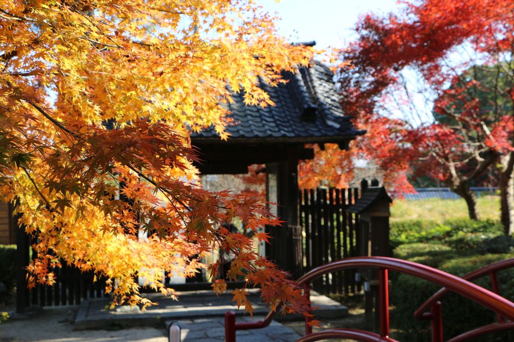 武蔵寺の画像 - 5枚目