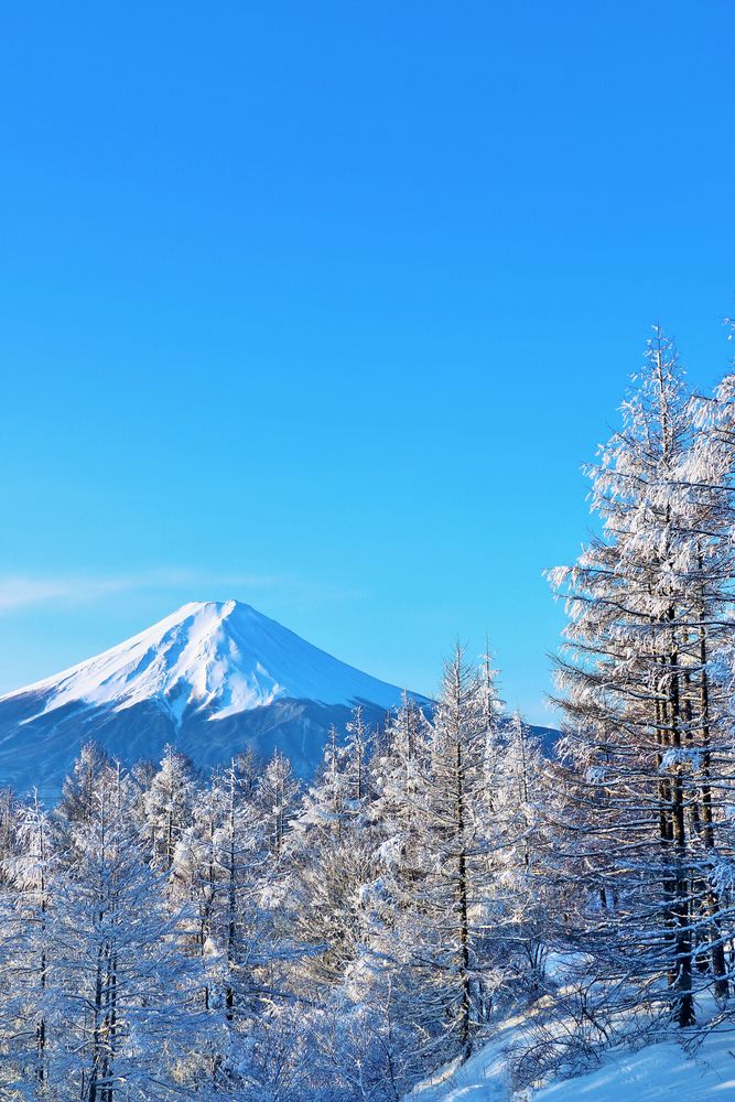 富士山の画像 - 4枚目