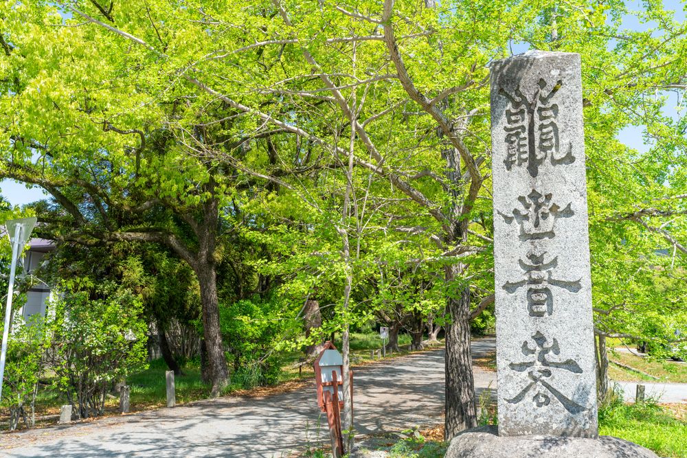 観世音寺の画像 - 4枚目