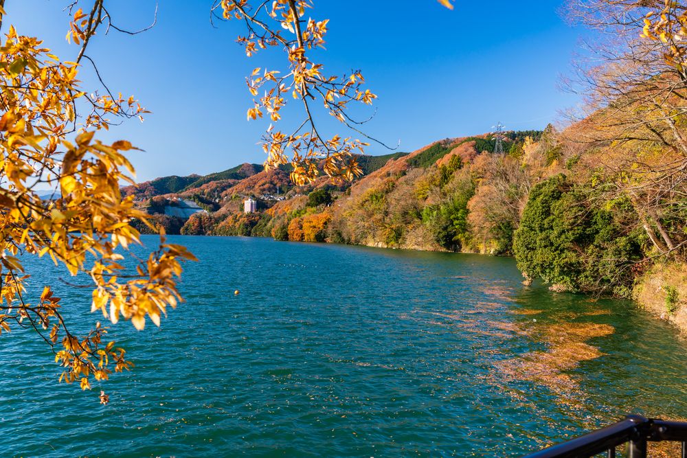 相模湖の画像 - 3枚目