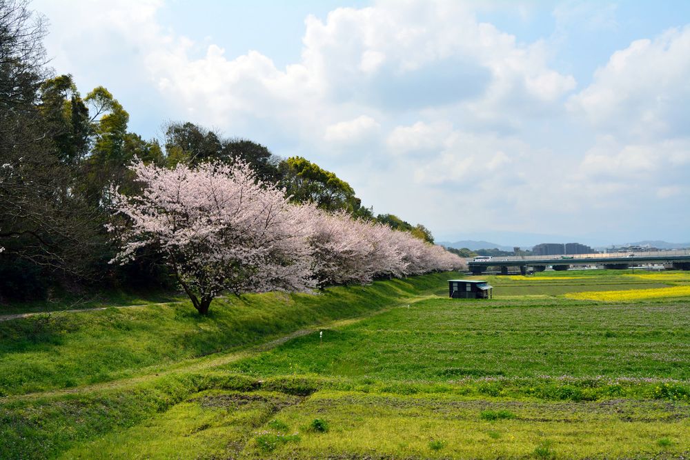 水城跡の画像 - 2枚目