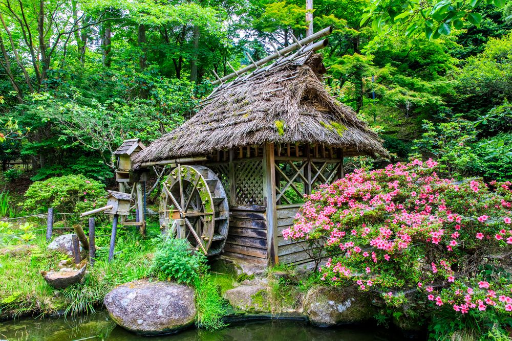 油山市民の森の画像 - 4枚目