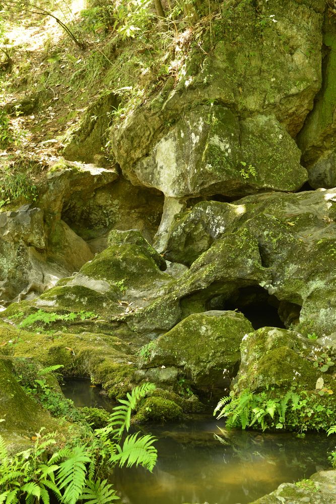 石山寺の画像 - 2枚目