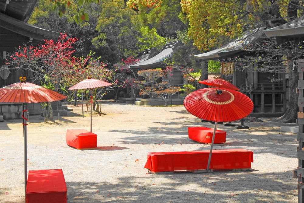 多賀神社の画像 - 3枚目