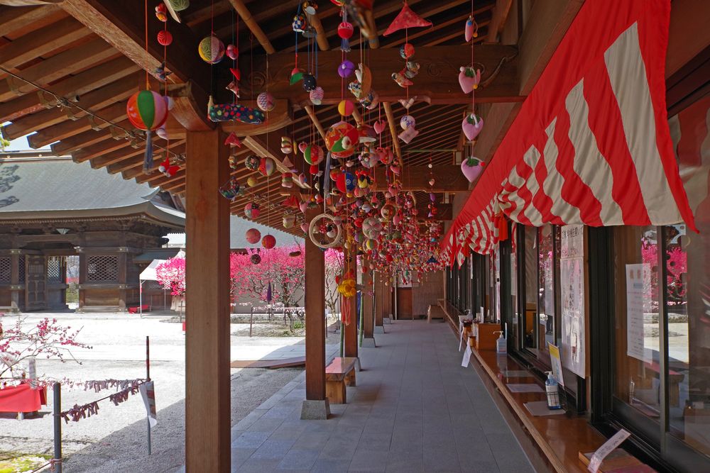 多賀神社の画像 - 4枚目