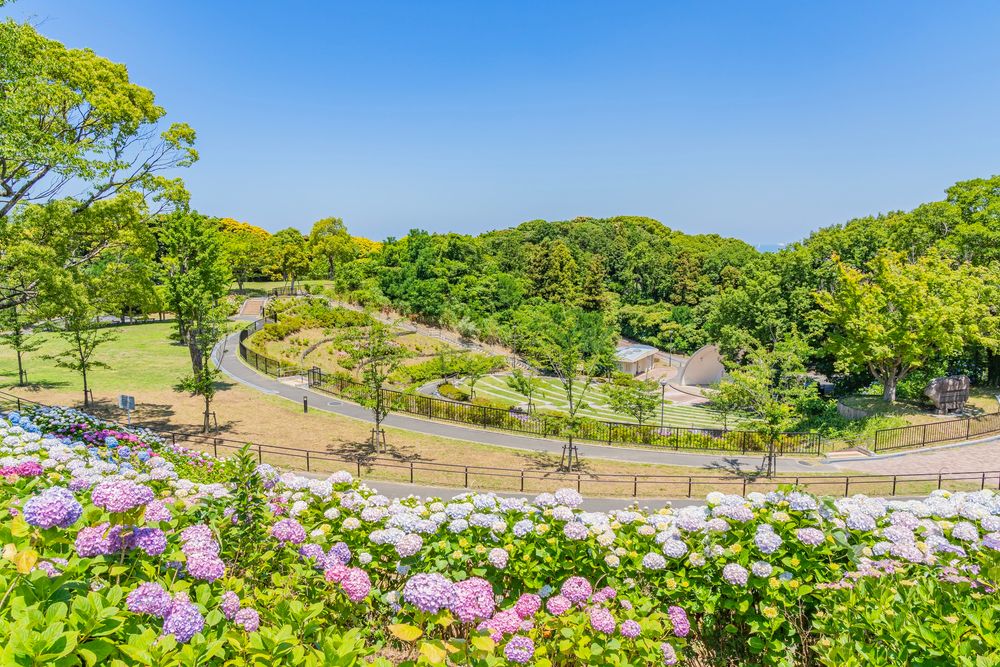 高塔山公園の画像 - 3枚目