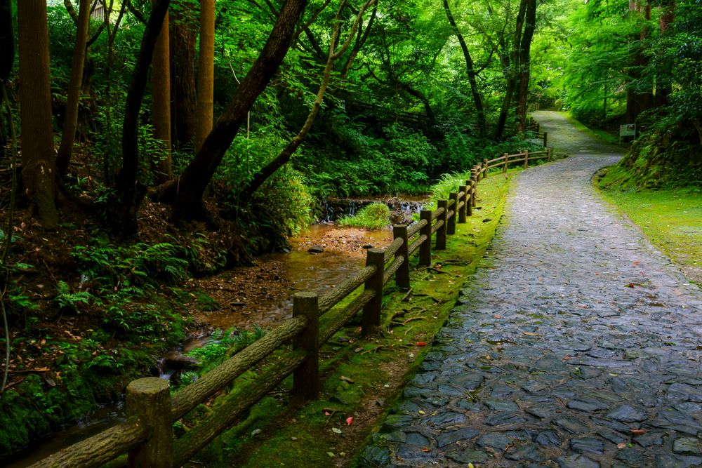 清水寺の画像 - 2枚目