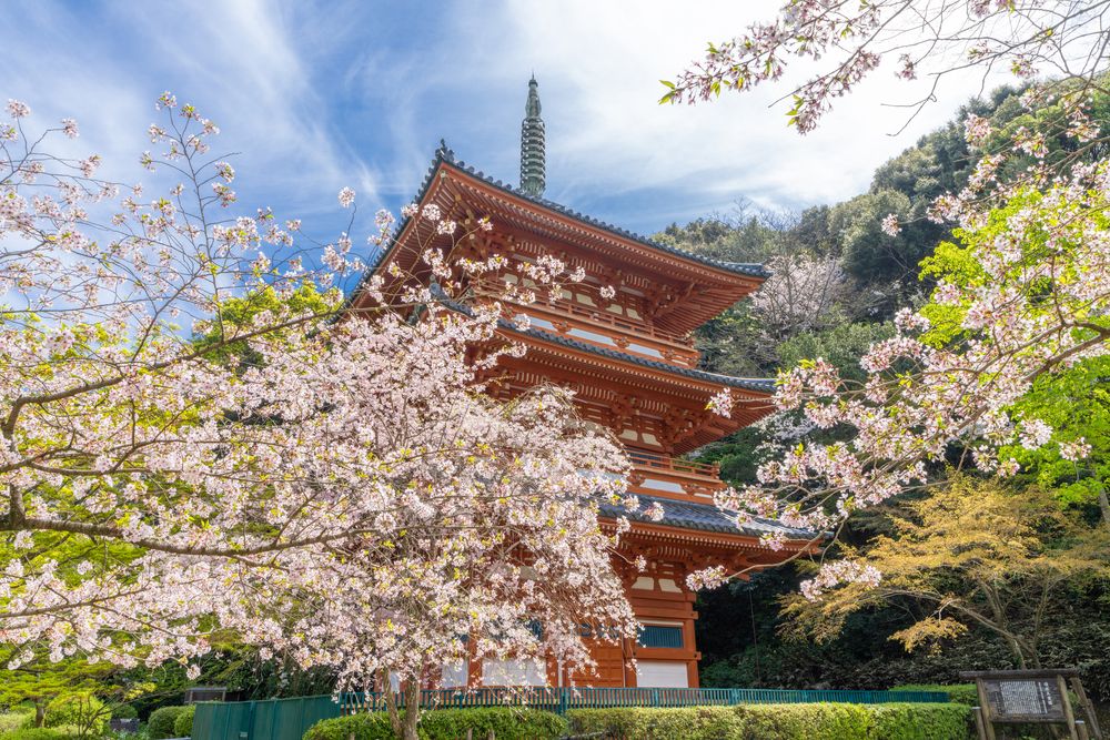 清水寺の画像 - 4枚目