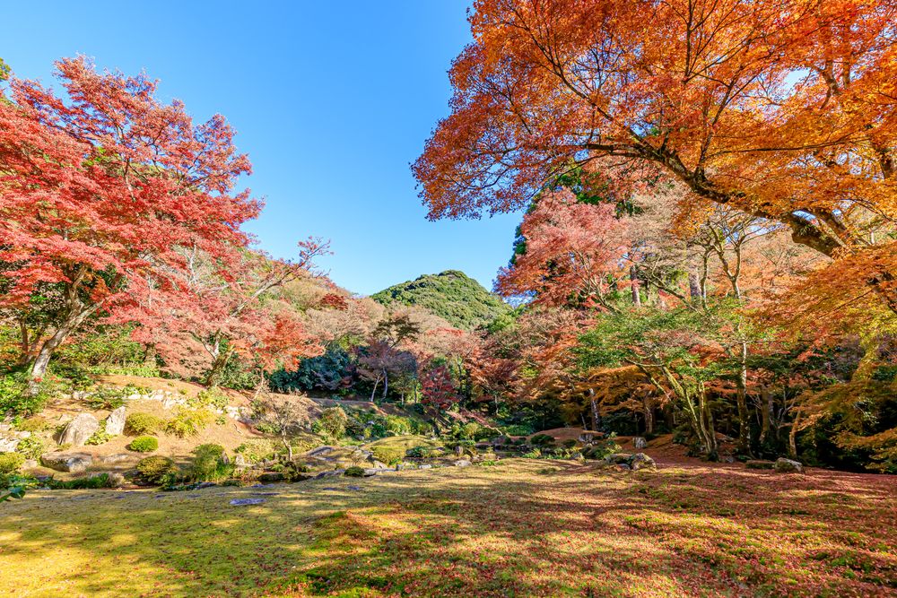 清水寺の画像 - 5枚目
