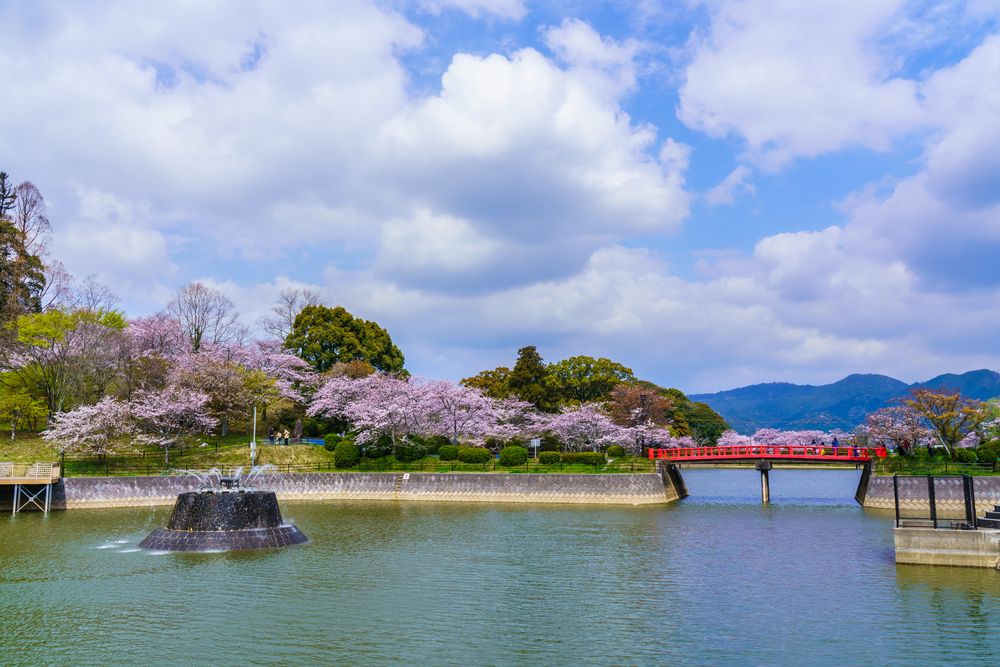 甘木公園 トップ ペット