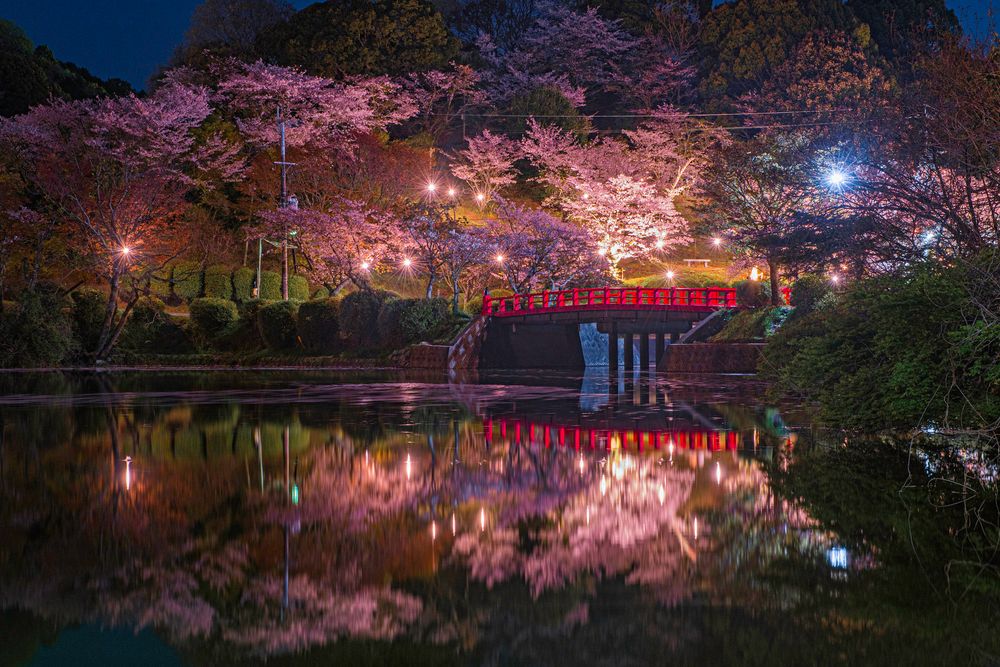 甘木公園の画像 - 2枚目