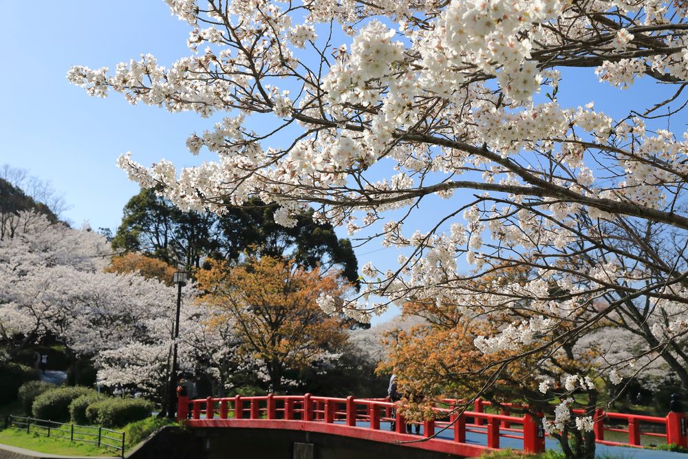 甘木公園の画像 - 3枚目