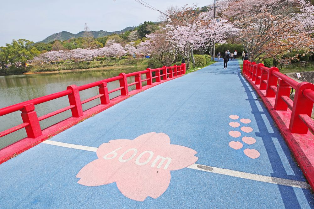 甘木公園の画像 - 4枚目