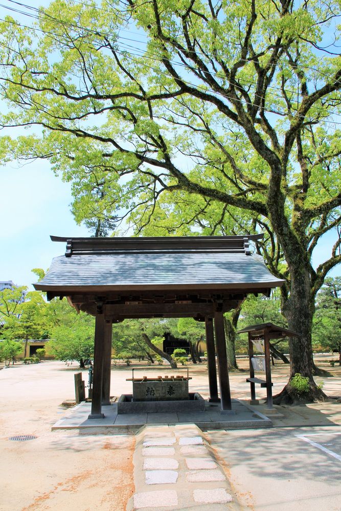 崇福寺の画像 - 3枚目
