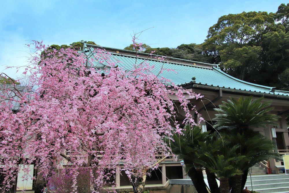 鎮国寺の画像 - 4枚目