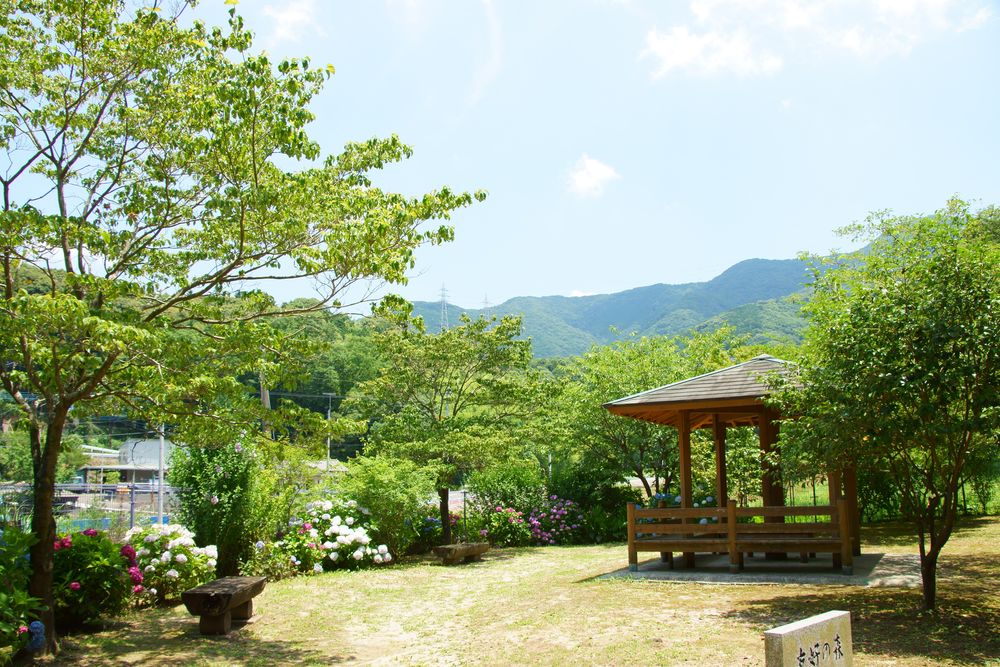 福智山ろく花公園の画像 - 2枚目
