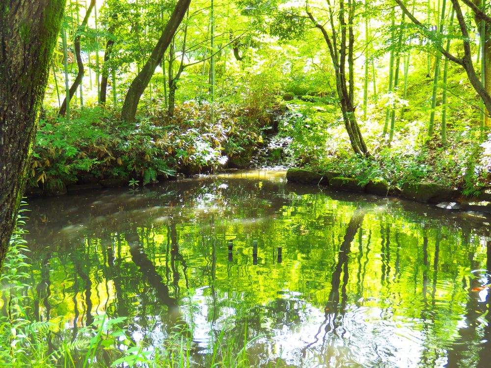 福智山ろく花公園の画像 - 4枚目