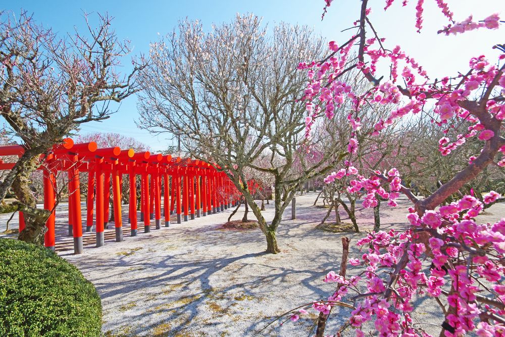 綱敷天満宮の画像 - 2枚目