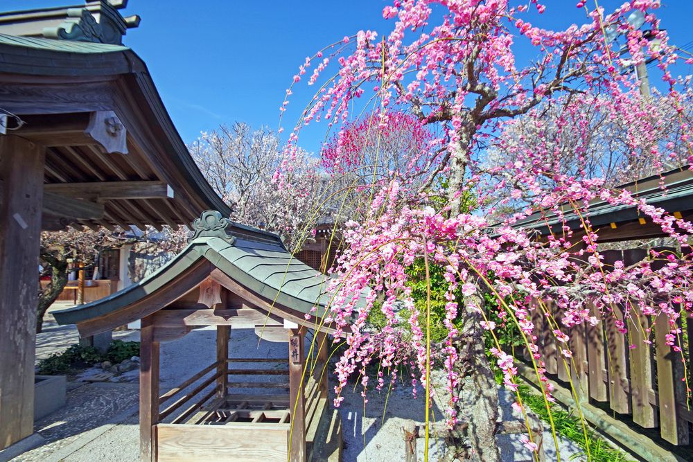 綱敷天満宮の画像 - 3枚目